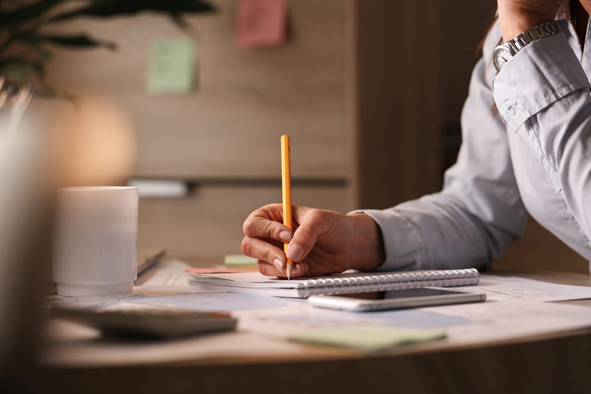 Eligibility check and document preparation for Japan student visa