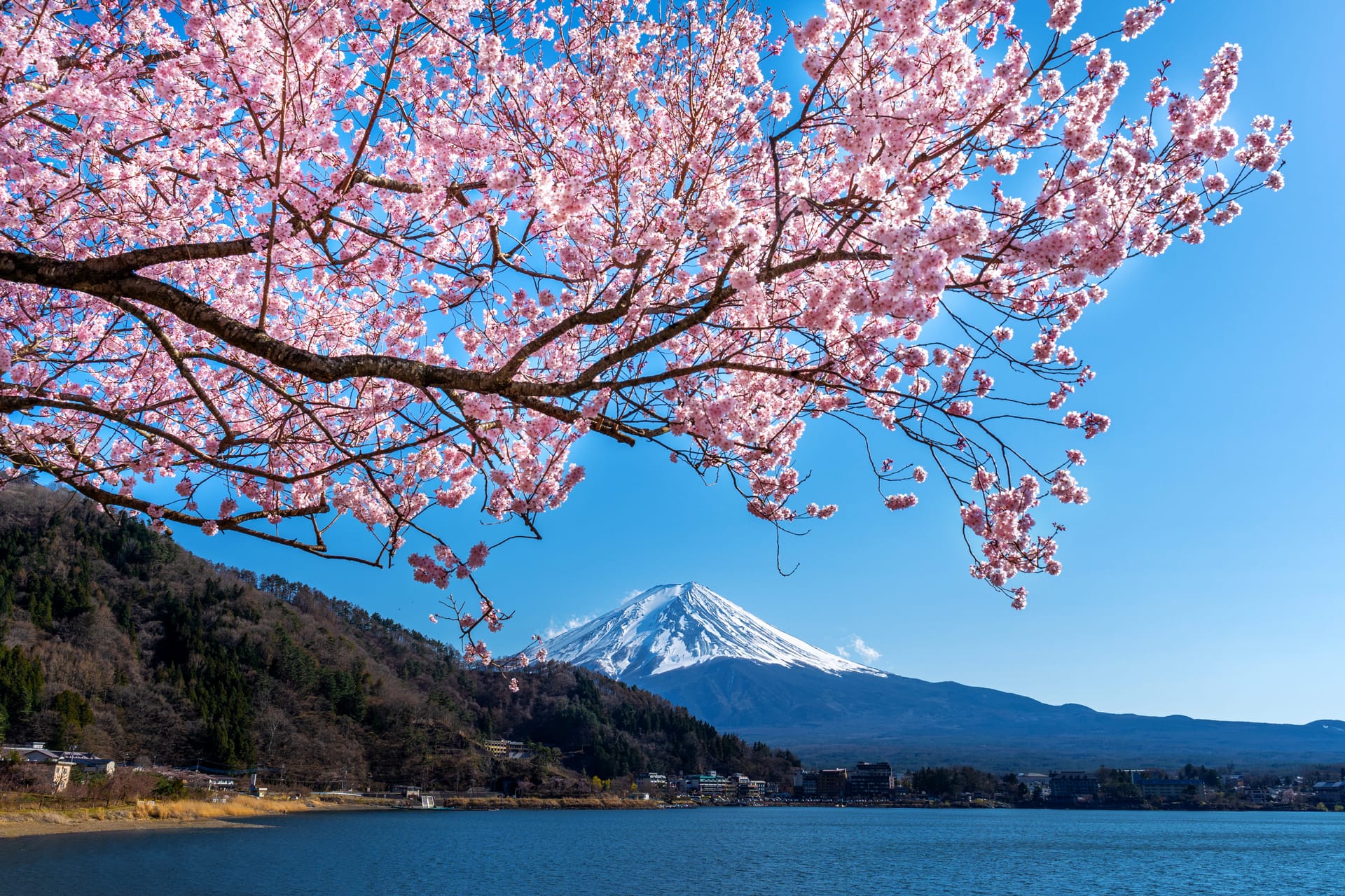 Scenic Japan background slideshow